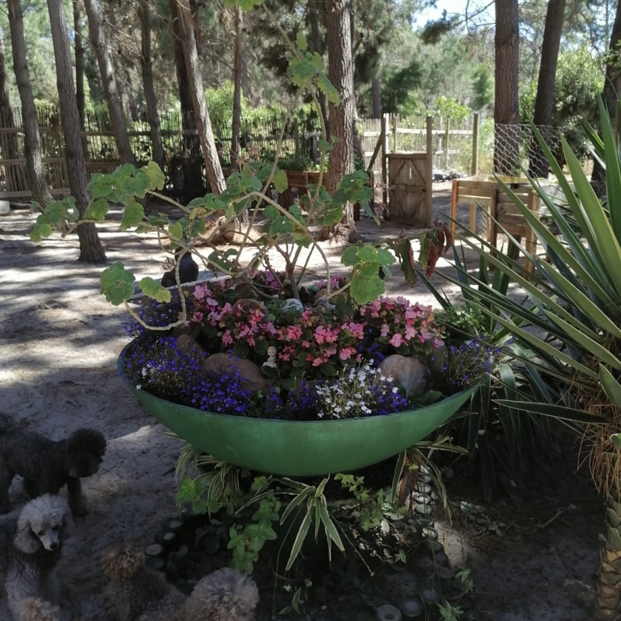 Commercial Property for Sale in Bot River Western Cape